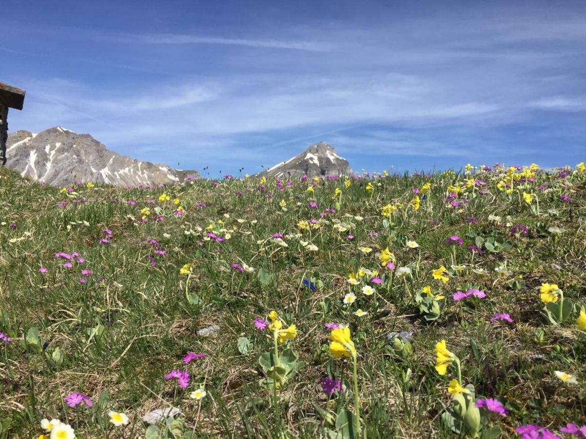 Haus Alpenrose Lägenhet Trins Exteriör bild