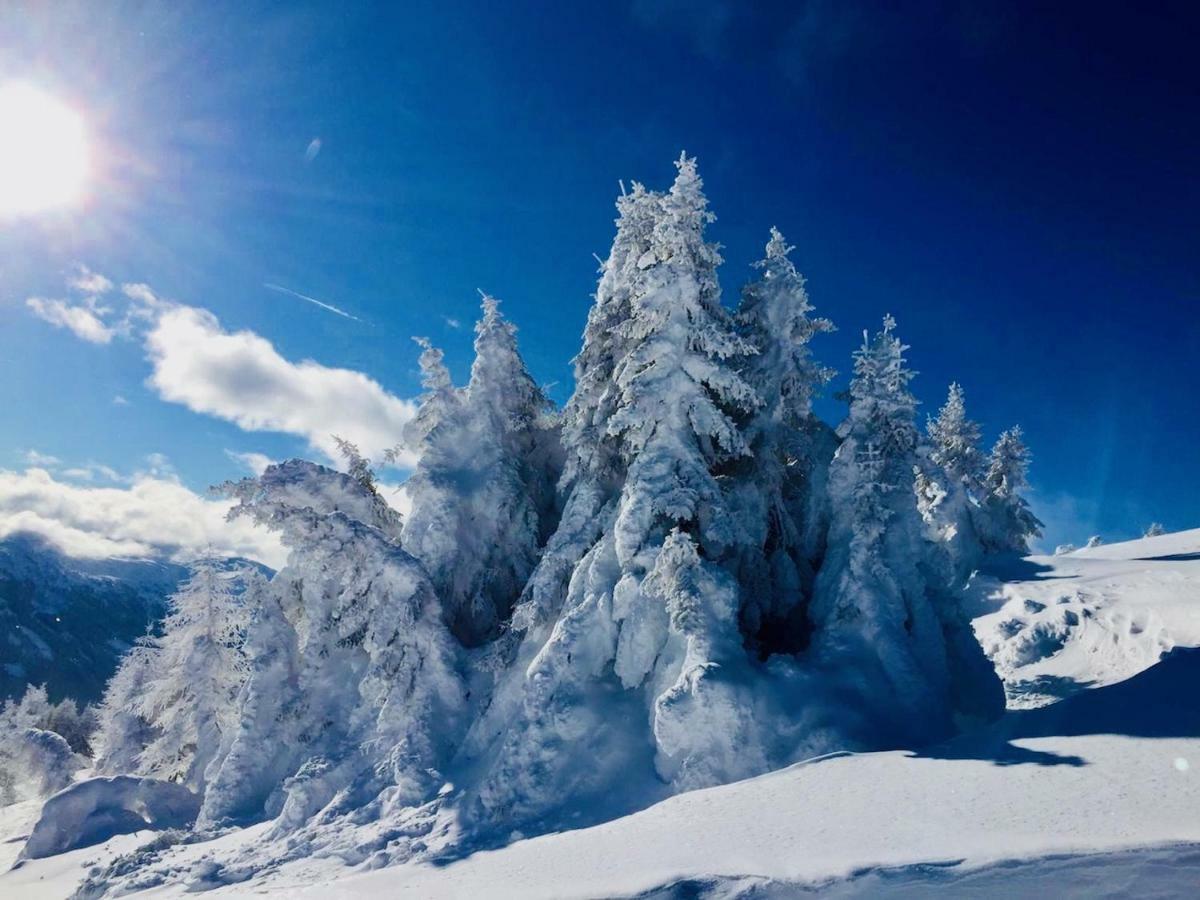 Haus Alpenrose Lägenhet Trins Exteriör bild