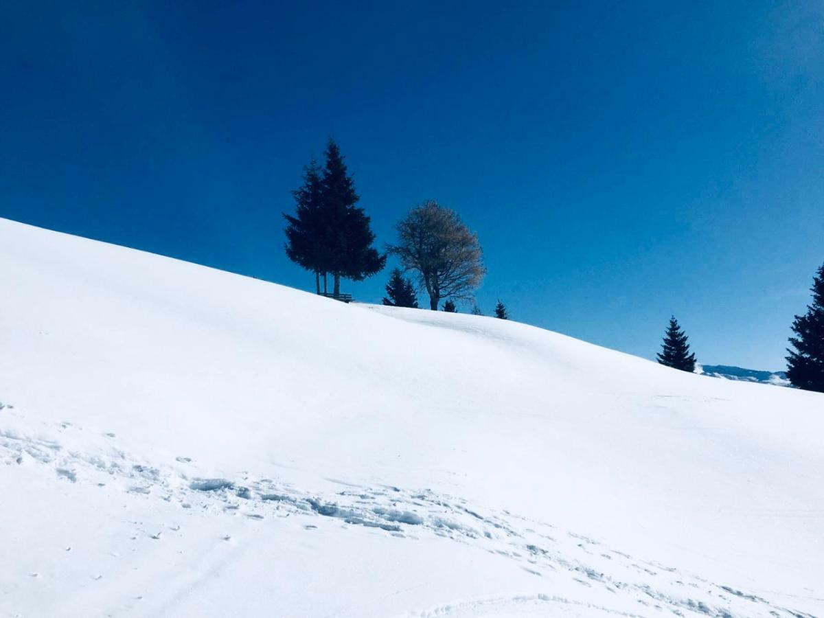 Haus Alpenrose Lägenhet Trins Exteriör bild